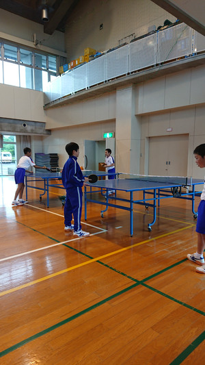 15270621169029136876403876999658