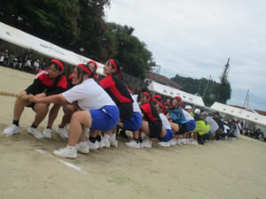 Photo_2