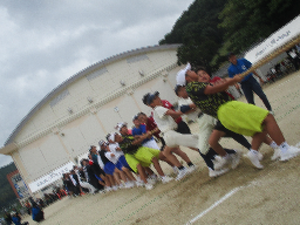 Photo_3